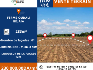 annonce Terrain